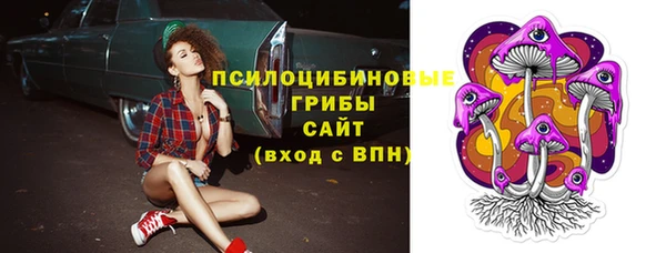 кокс Дмитриев