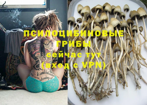метадон Дмитров