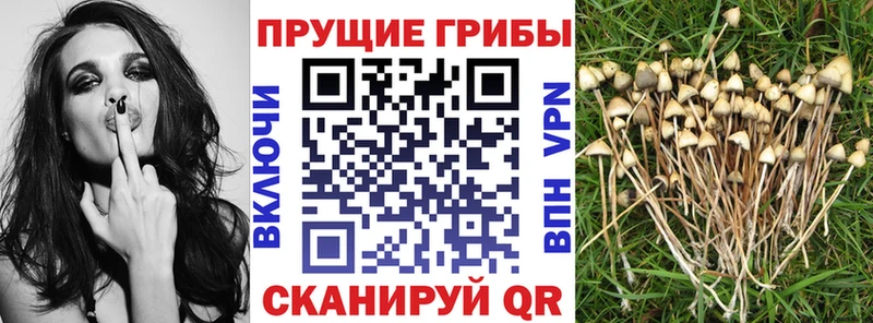 Галлюциногенные грибы мухоморы  mega вход  Калачинск 